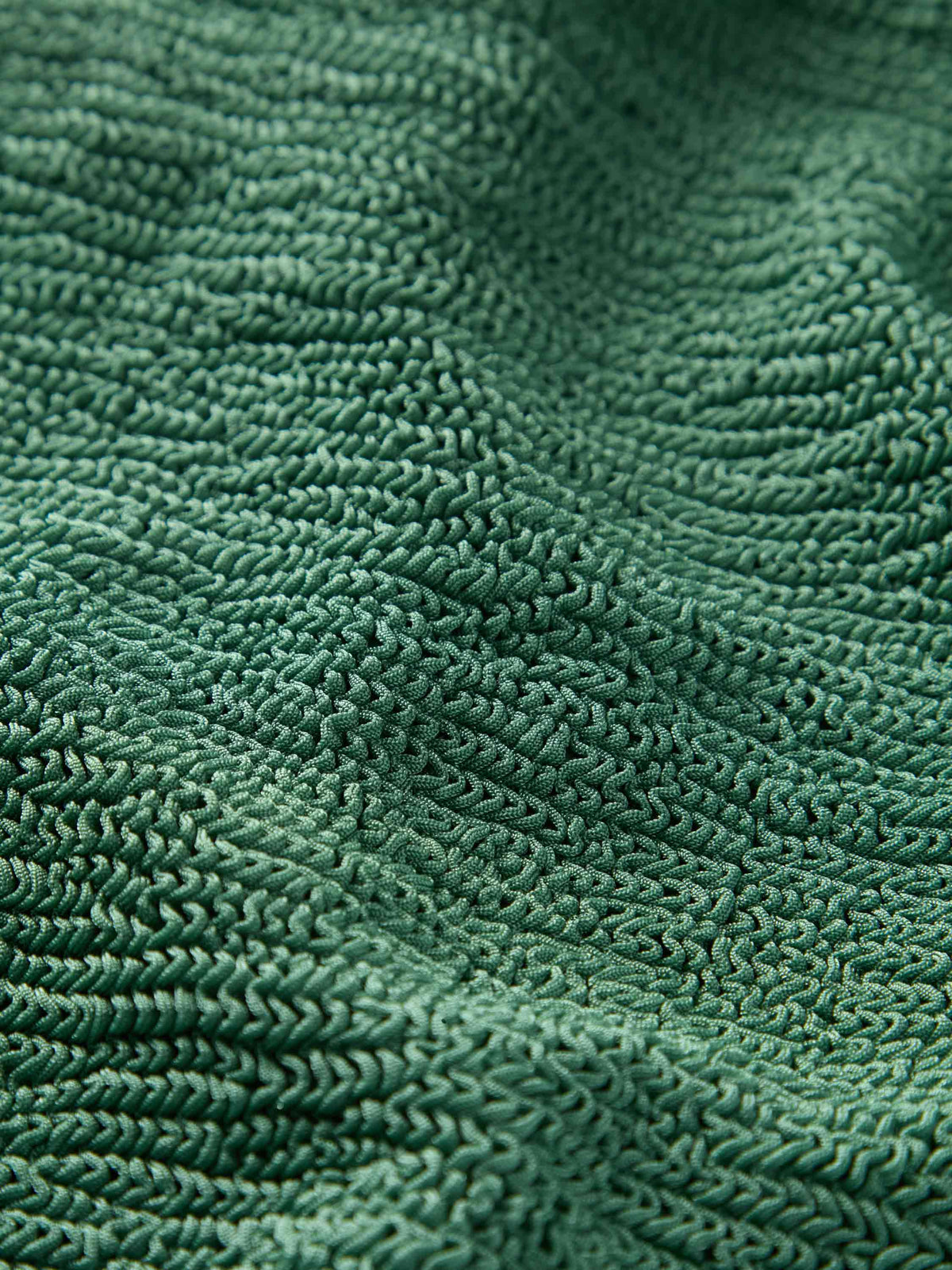 Celine Swim - Metallic Jade